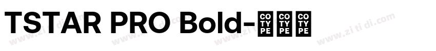 TSTAR PRO Bold字体转换